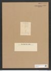 Diatomeae indet. Zeichnungen Sammlung Grunow Nr. 3780 (NHMW-BOT-W0371448)